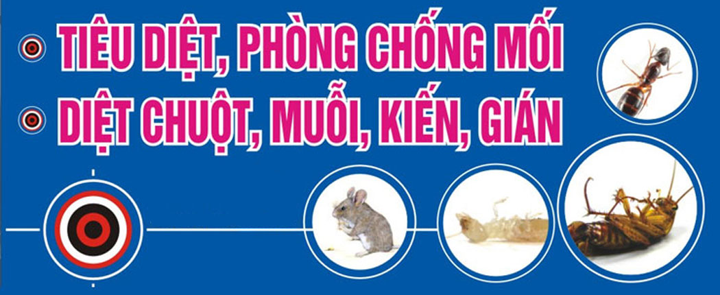 Thuốc diệt mối dạng xịt MAP SEDAN 48EC.